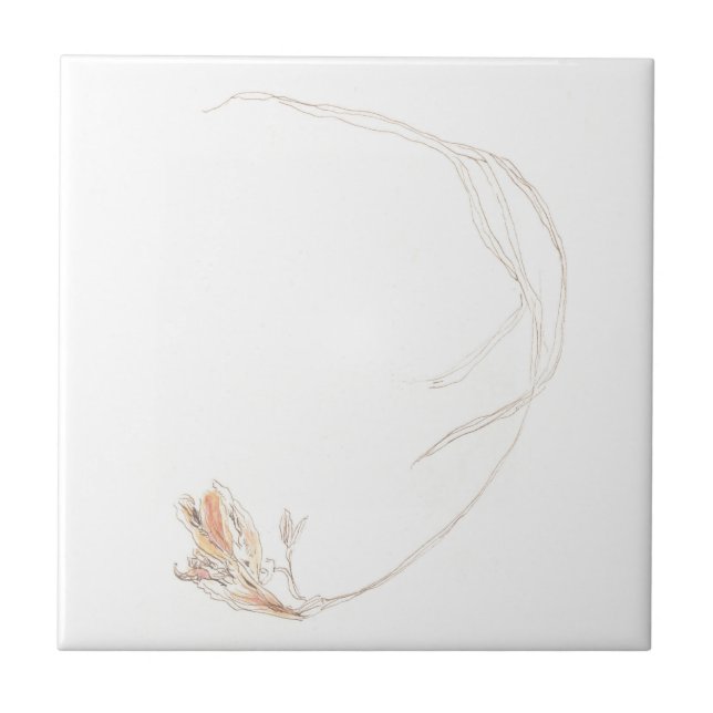 Azulejo De Cerâmica Freesia seca 1 (Frente)