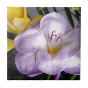 Azulejo De Cerâmica freesia violeta aberta