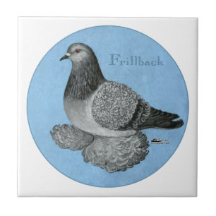 Azulejo De Cerâmica Frente Azul Grizzle Pigeon