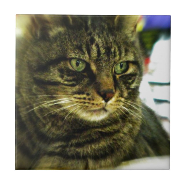 Azulejo De Cerâmica Frente de Olhos Verdes (Frente)