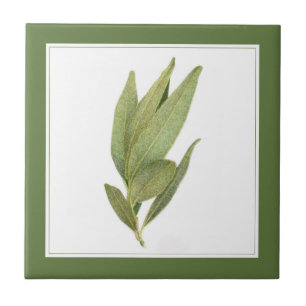 Azulejo De Cerâmica FRESH BAY DEIXA Azulejo cerâmico de 4,25" (texto)