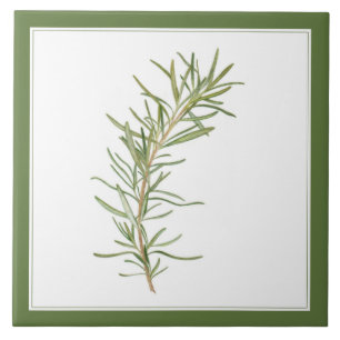 Azulejo De Cerâmica FRESH ROSEMARY 6x6 Cerâmica Azulejo (-text) Verde