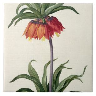 Azulejo De Cerâmica Fritillaria Imperialis de, "Les Lilacees", 1802-
