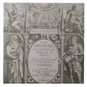 Azulejo De Cerâmica Frontispício à segunda edição 'do Herball