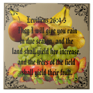 AZULEJO DE CERÂMICA  FRUTA