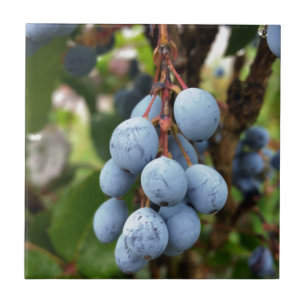 Azulejo De Cerâmica Fruta de espinho negro