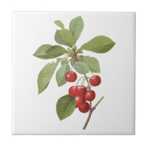 Azulejo De Cerâmica Fruta Vintage Cereja Comida, Cerejas por Redoute