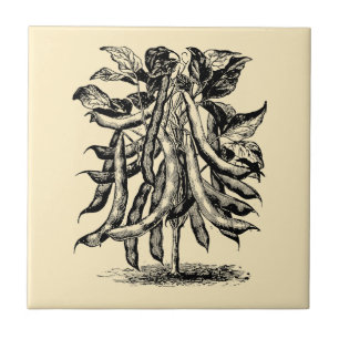 Azulejo De Cerâmica Fruta Vintage Vitoriana e Anúncio de Bean Vegetal