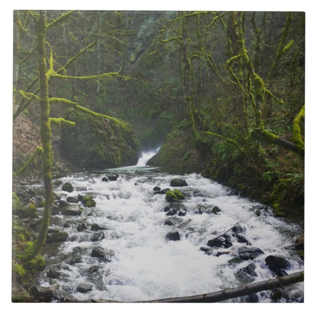 Azulejo De Cerâmica Fuga de Queda de Véu Bridal, OU (Frente)