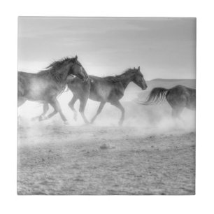 Azulejo De Cerâmica Funcionamento do mustang