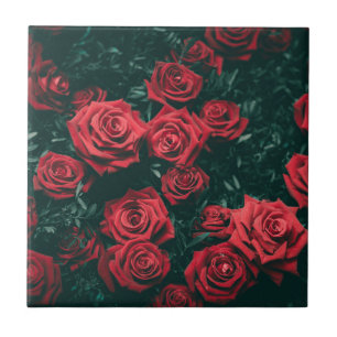 Azulejo De Cerâmica Fundo com padrão floral de rosas vermelhas escuras