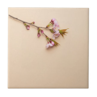 Azulejo De Cerâmica Fundo de Flor de Cerejeira e Margarida