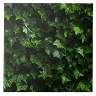 Azulejo De Cerâmica Fundo de Hera, Folhas Verdes, Realismo Naturalista
