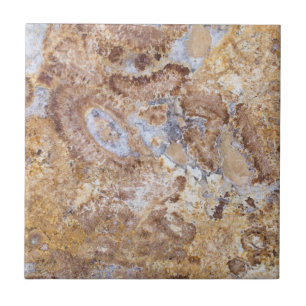Azulejo De Cerâmica Fundo do padrão Marble