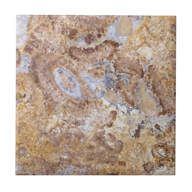 Azulejo De Cerâmica Fundo do padrão Marble (Frente)