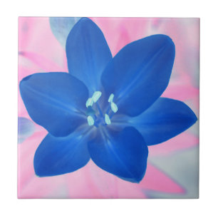 Azulejo De Cerâmica Fundo Rosa Rosa com Flor Azul Neon