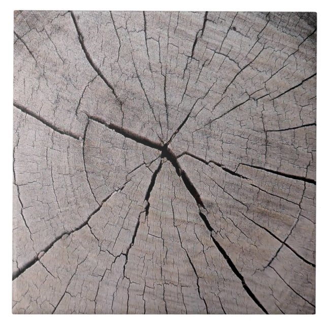 Azulejo De Cerâmica fundo rústico de toco de árvore natural (Frente)