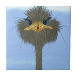 Azulejo De Cerâmica Funny Ostrich George E O Bonitinho Ladybug