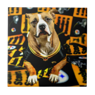 Azulejo De Cerâmica Futebol do Cão de Salvação Pitbull Fanático
