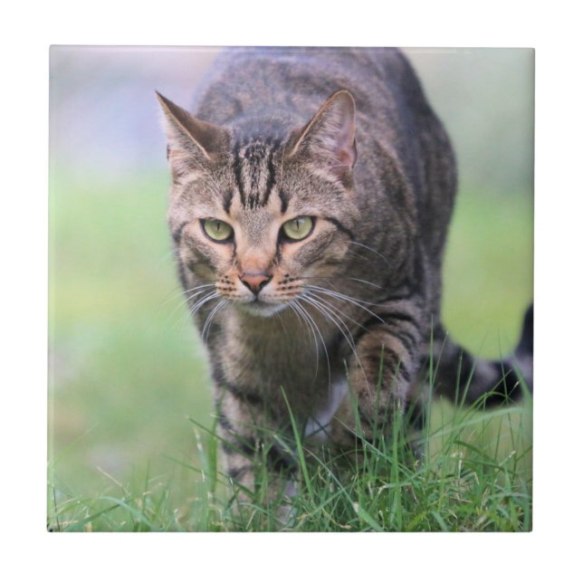 Azulejo De Cerâmica Gabe (Frente)