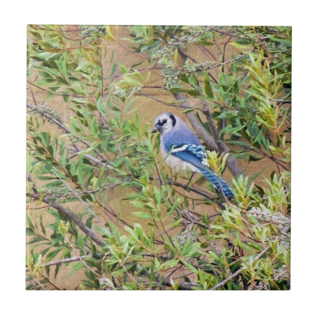 Azulejo De Cerâmica Gaio-azul em Murta-de-cera (Frente)