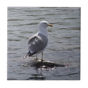 Azulejo De Cerâmica Gaivota