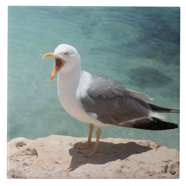 Azulejo De Cerâmica Gaivota (Frente)
