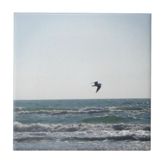 Azulejo De Cerâmica Gaivota