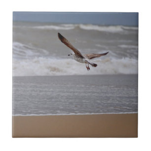 Azulejo De Cerâmica Gaivota que voa sobre a praia para o oceano