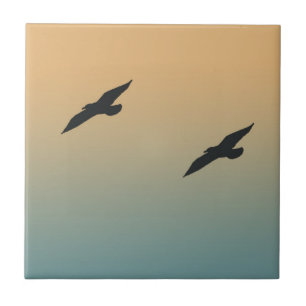 Azulejo De Cerâmica Gaivotas