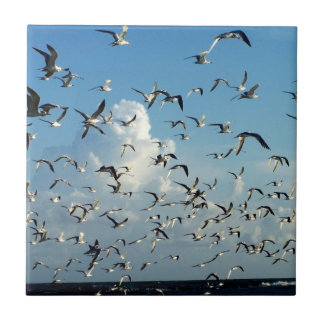 Azulejo De Cerâmica gaivotas que voam sobre a praia