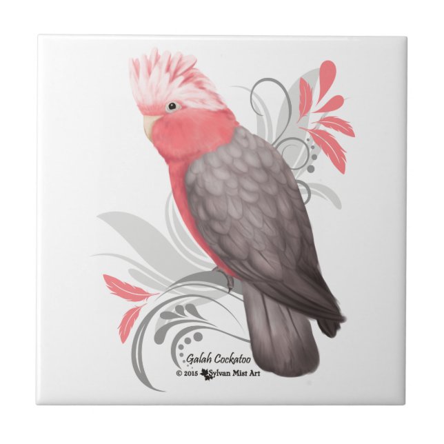 Azulejo De Cerâmica Galah Cockatoo (Frente)
