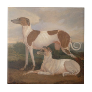Azulejo De Cerâmica Galgos do vintage
