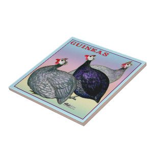 Azulejo De Cerâmica Galinha das Guinés três