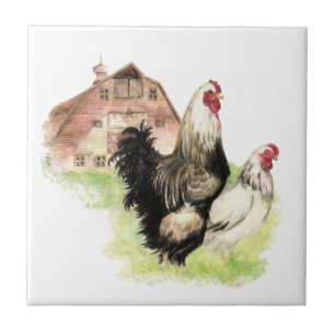 Azulejo De Cerâmica Galinha-do-campo e galinha-galo, cena de Fazenda