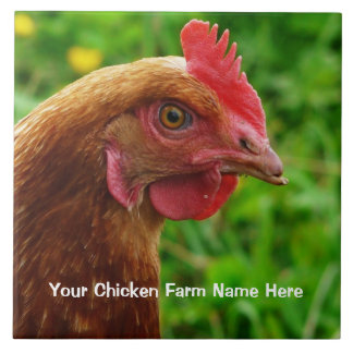 Azulejo De Cerâmica Galinha poedeira vermelha pequena - galinha de RIR