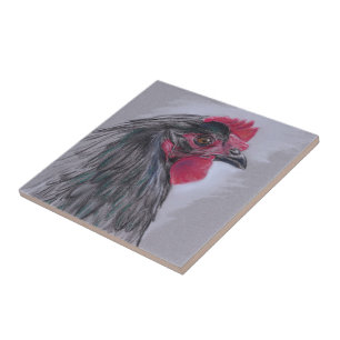 Azulejo De Cerâmica Galinha preta de Australorp