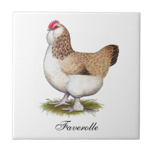 Azulejo De Cerâmica Galinha Salmon de Faverolle