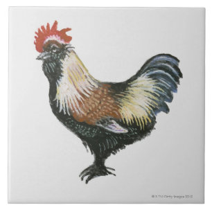 Azulejo De Cerâmica Galinha Salmon de Faverolles