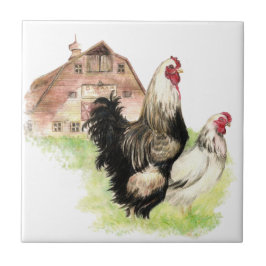 Azulejo De Cerâmica Galinhas Da Aquarela Hen & Rooster Fazenda Arte De