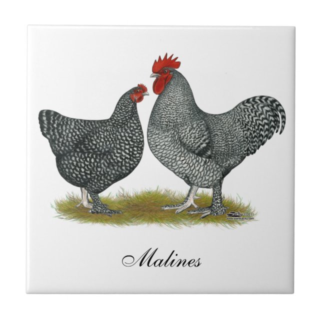 Azulejo De Cerâmica Galinhas de Maline (Frente)