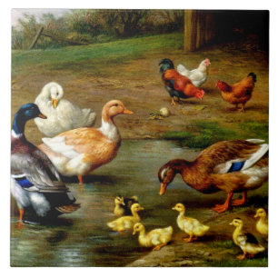 Azulejo De Cerâmica Galinhas, Patos E Patos Na Fazenda