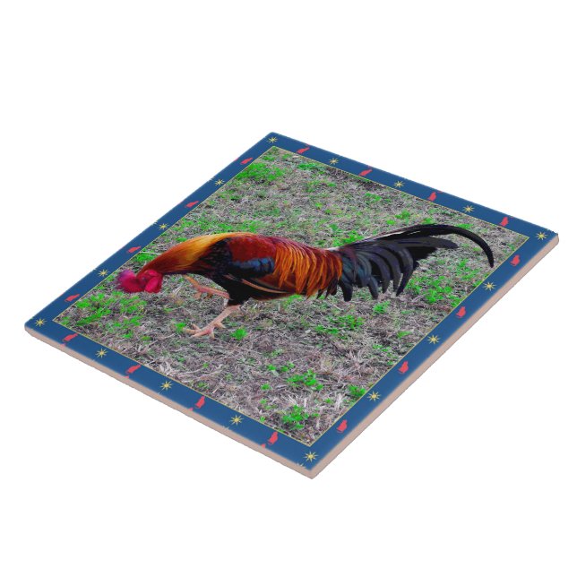 Azulejo De Cerâmica Galo de Key West (Lateral)