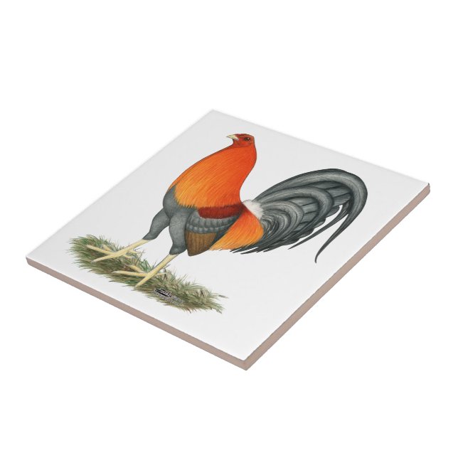 Azulejo De Cerâmica Galo do vermelho azul do Gamecock (Lateral)