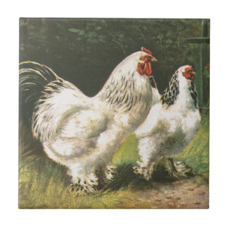 Azulejo De Cerâmica Galo e galinha