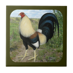 Azulejo De Cerâmica Gamecock da estrada secundária