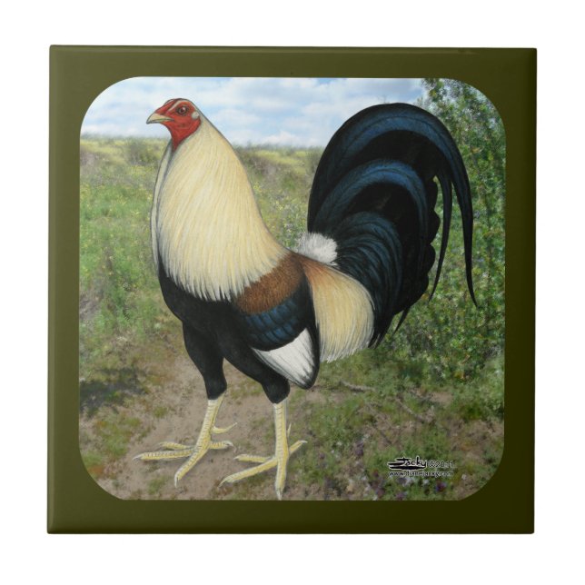 Azulejo De Cerâmica Gamecock da estrada secundária (Frente)