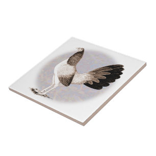 Azulejo De Cerâmica Gamecock: Hennie