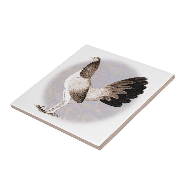 Azulejo De Cerâmica Gamecock: Hennie (Lateral)
