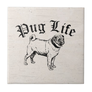 Azulejo De Cerâmica Gângster engraçado do cão da vida do Pug